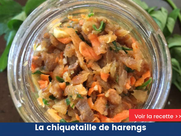 La chiquetaille de harengs